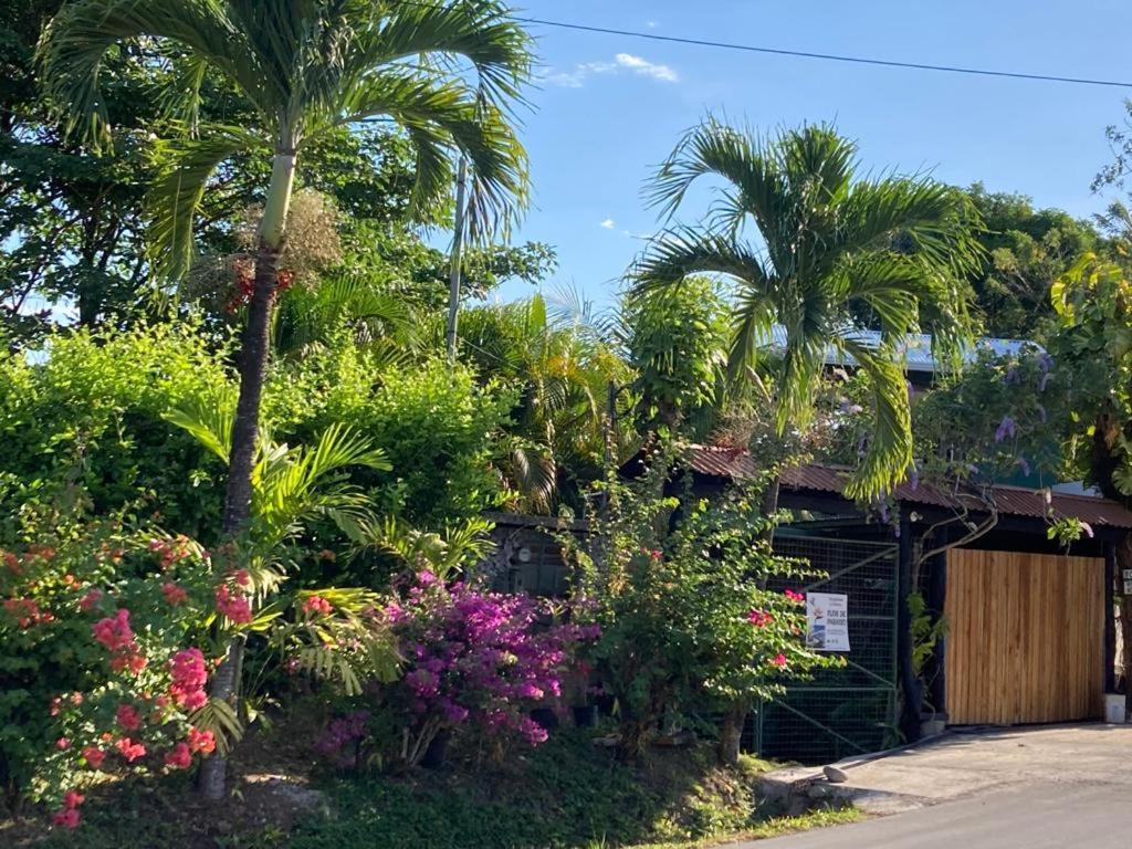 Flor De Paraiso Bungalows Montezuma Exteriér fotografie